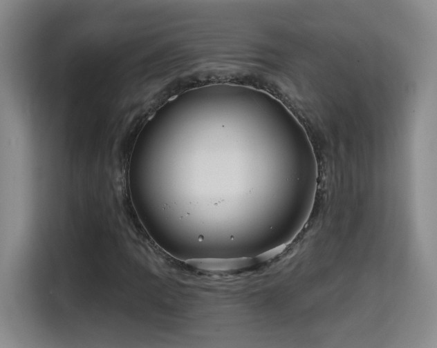 X0000115691109200911191108