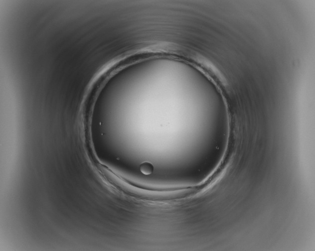 X0000115691114200911191108