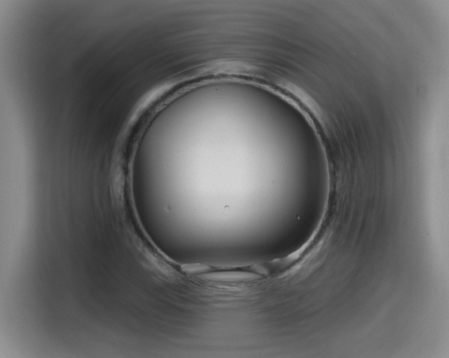 X0000115691115200911191108