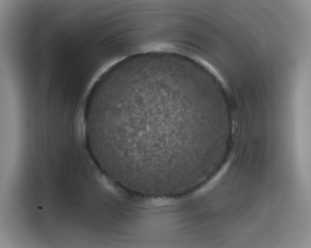 X0000115691117200911191108