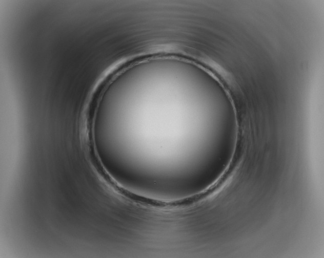 X0000115691118200911191108