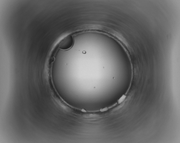 X0000115691119200911191108