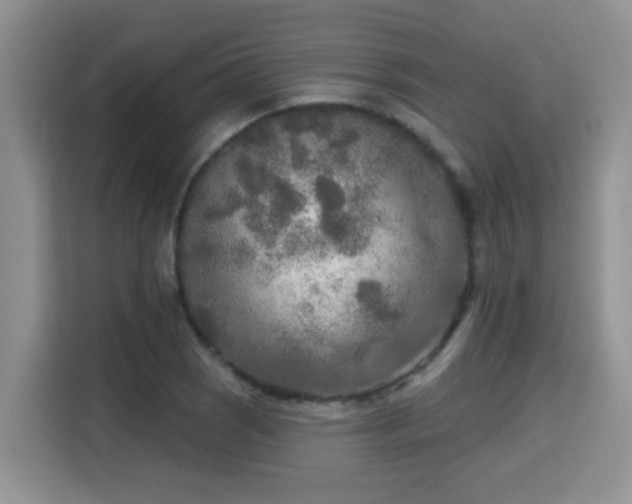 X0000115691121200911191108