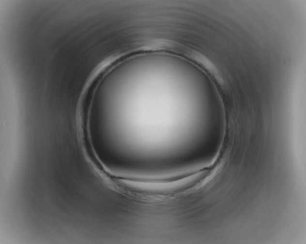 X0000115691122200911191108