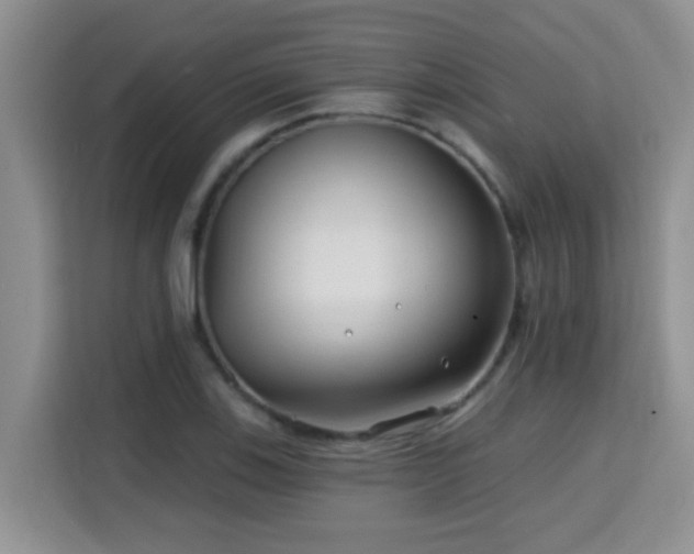 X0000115691123200911191108