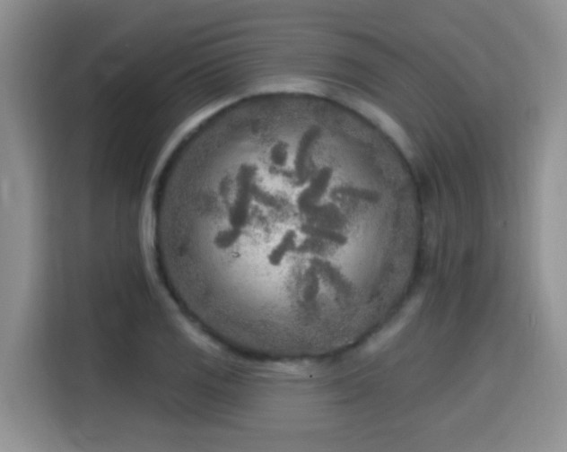 X0000115691125200911191108