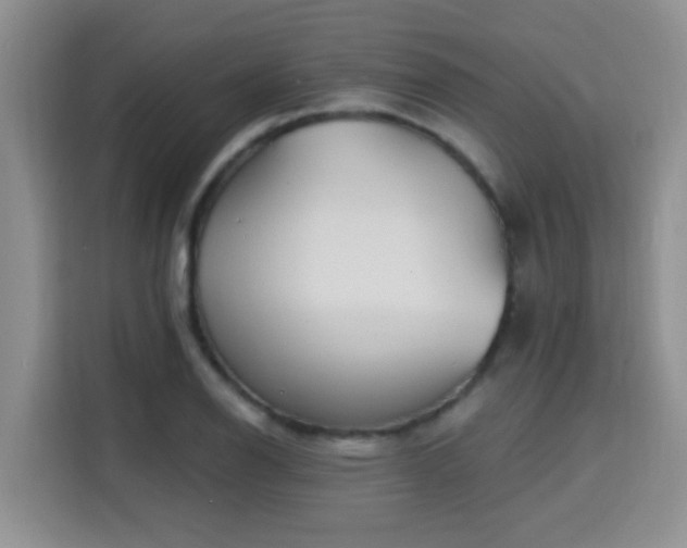 X0000115691126200911191108