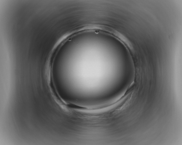 X0000115691127200911191108