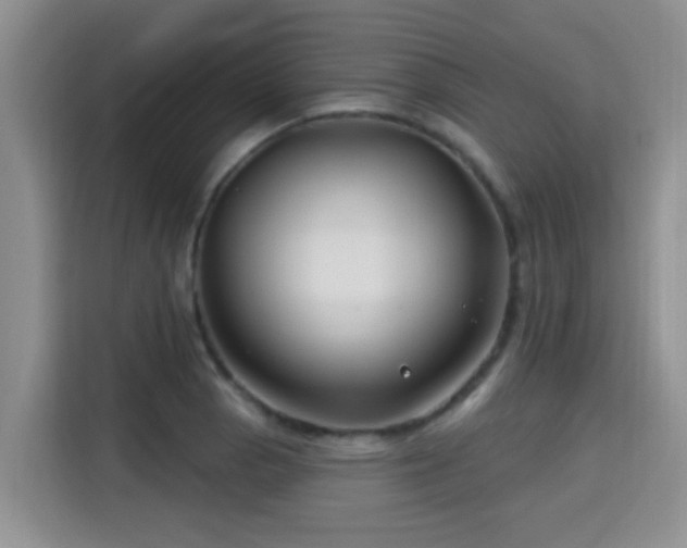 X0000115691129200911191108