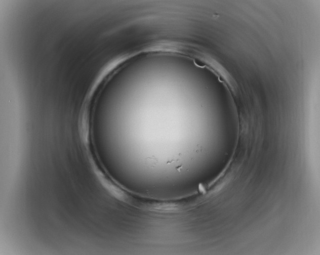 X0000115691131200911191108