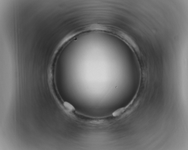 X0000115691133200911191108