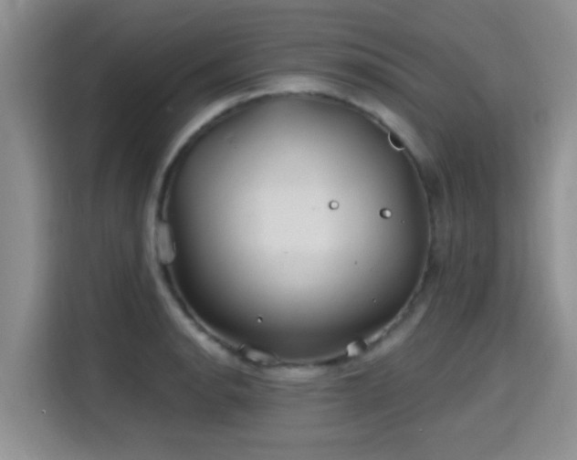 X0000115691134200911191109