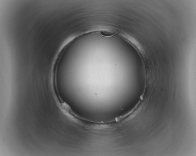 X0000115691135200911191109