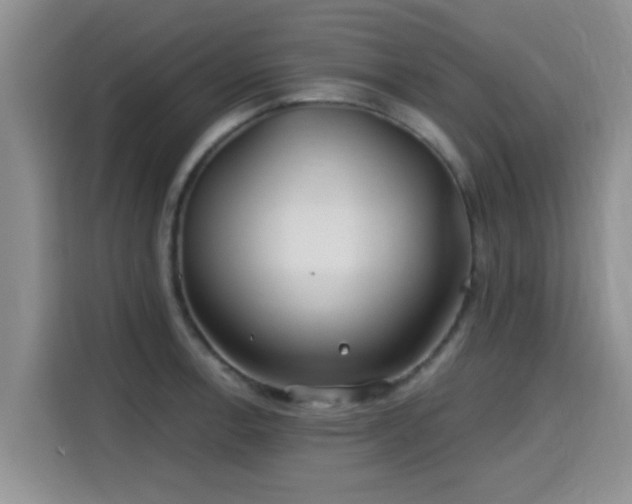 X0000115691138200911191109