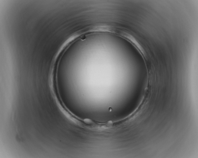 X0000115691139200911191109