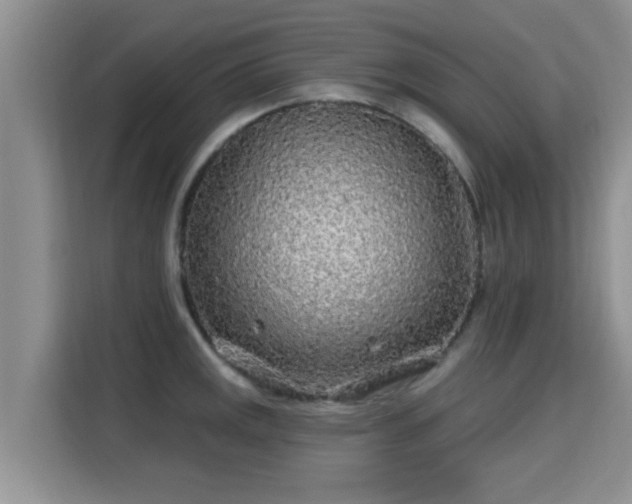 X0000115691141200911191109