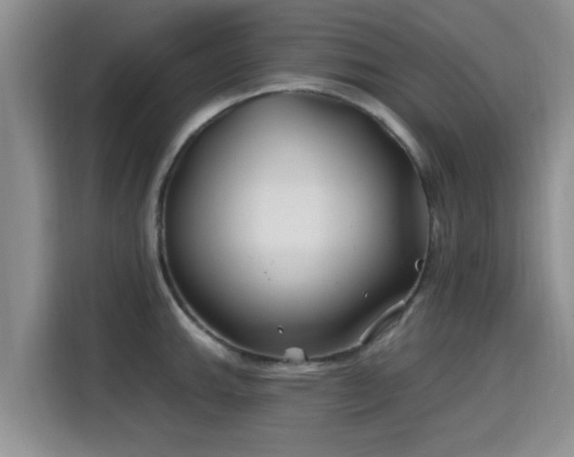 X0000115691143200911191109