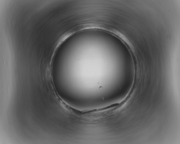 X0000115691145200911191109