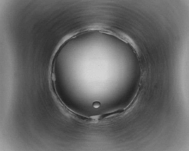 X0000115691146200911191109