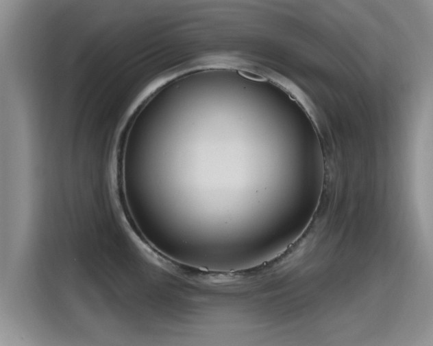 X0000115691147200911191109