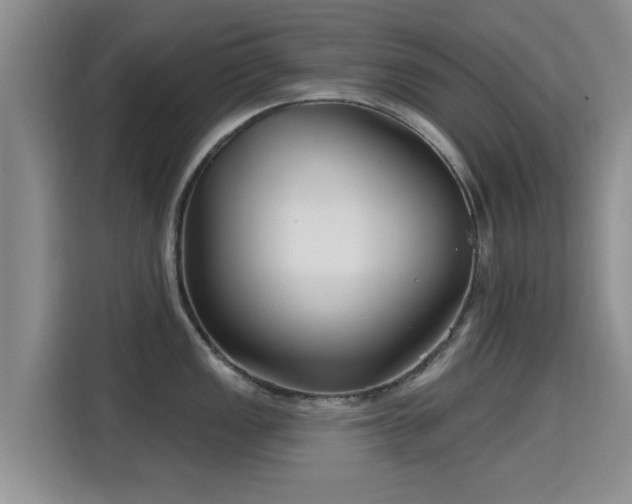 X0000115691149200911191109