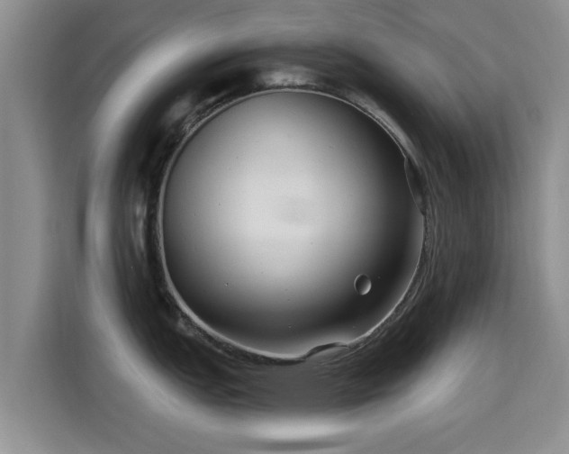 X0000115691151200911191109