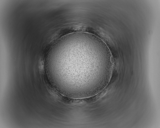 X0000115691154200911191108