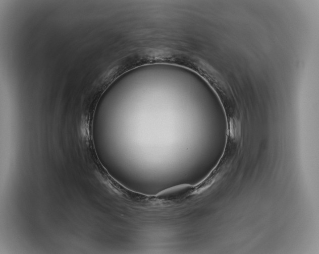 X0000115691155200911191108