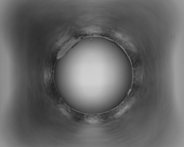 X0000115691157200911191108