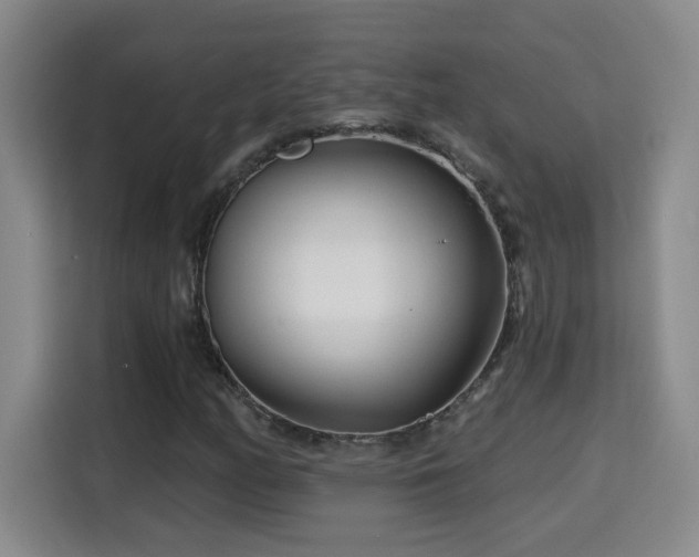 X0000115691158200911191108