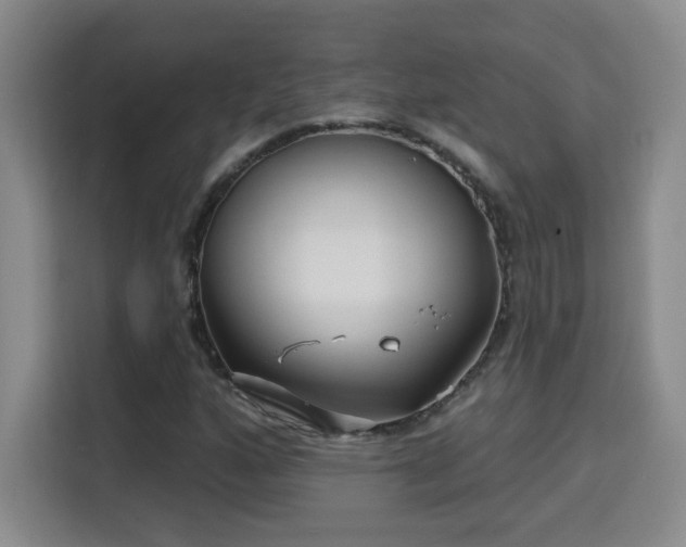 X0000115691160200911191108