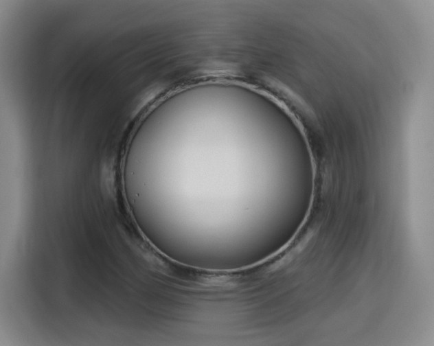 X0000115691162200911191108