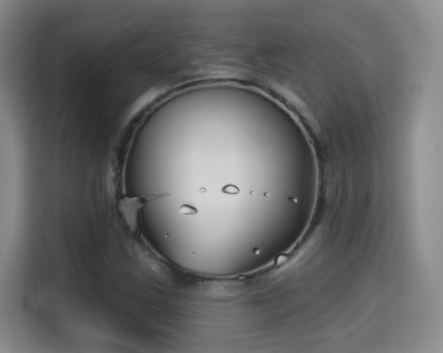 X0000115691163200911191108