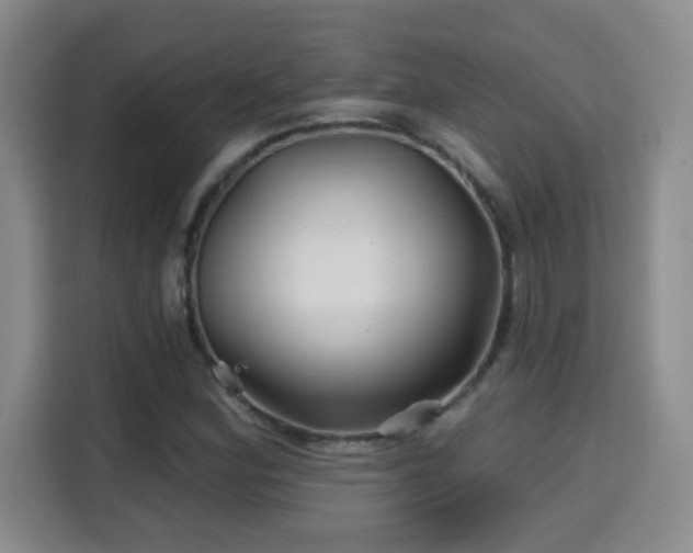 X0000115691164200911191108