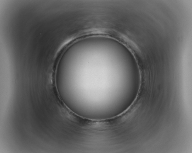 X0000115691166200911191108