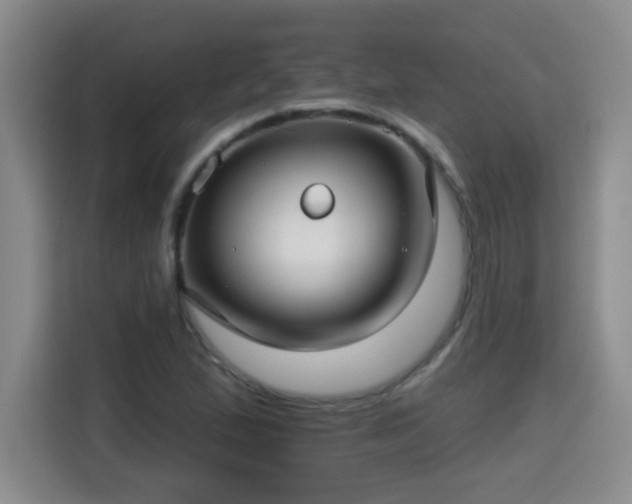 X0000115691167200911191108