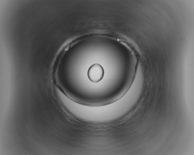 X0000115691168200911191108