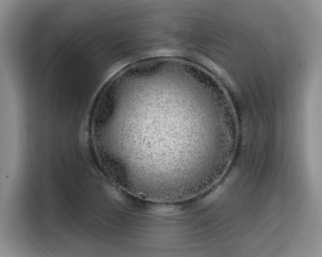 X0000115691170200911191108