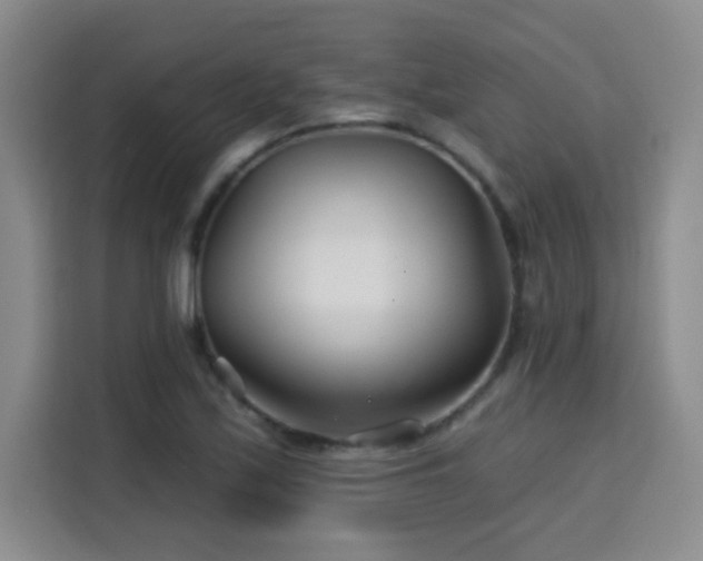 X0000115691171200911191108