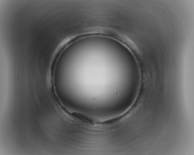 X0000115691172200911191108