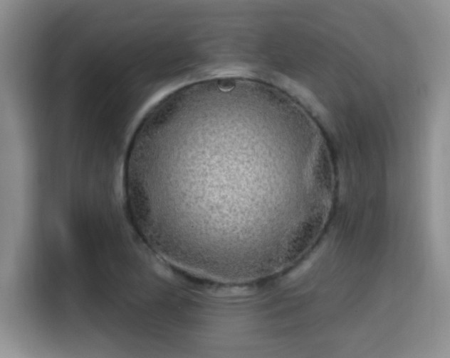 X0000115691174200911191108