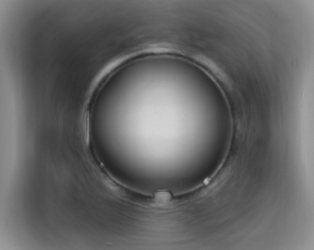 X0000115691175200911191108