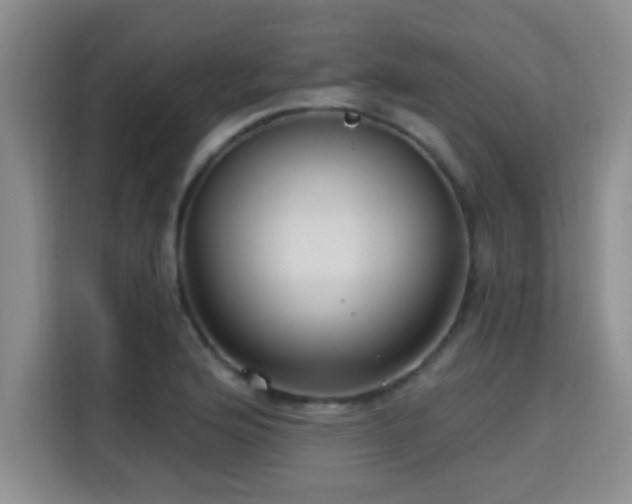 X0000115691176200911191108