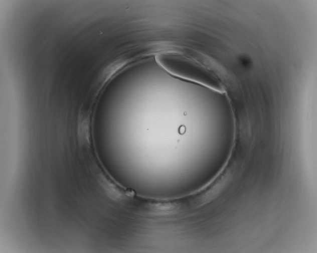 X0000115691177200911191108