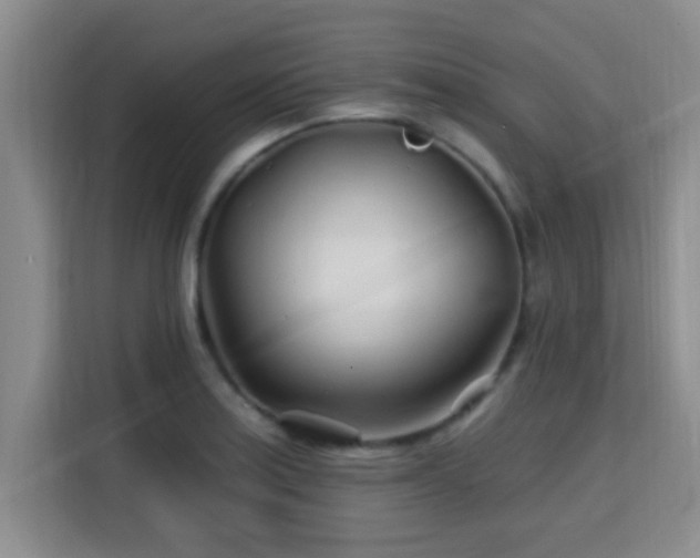 X0000115691179200911191108