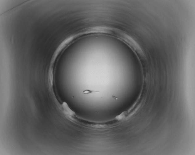 X0000115691180200911191108