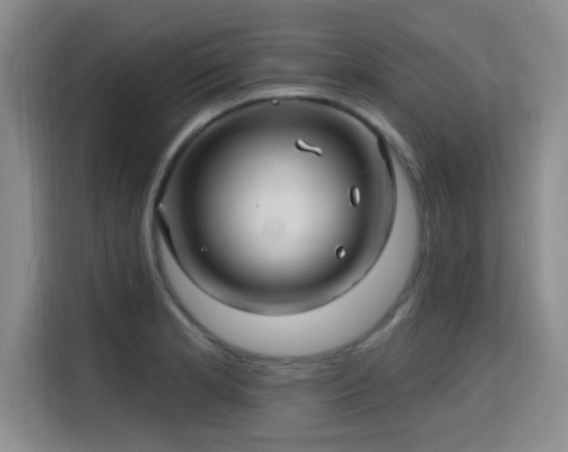 X0000115691181200911191108