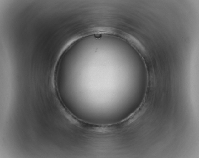 X0000115691182200911191108