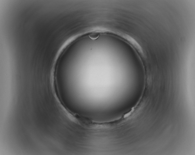 X0000115691183200911191108