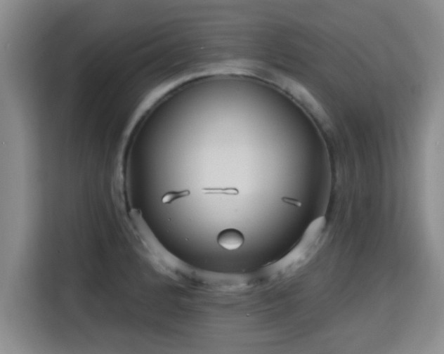 X0000115691184200911191108